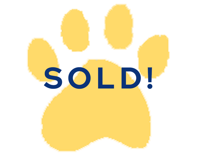 paw - SOLD